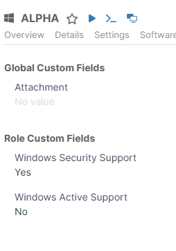 Windows Support Status Related Custom Fields